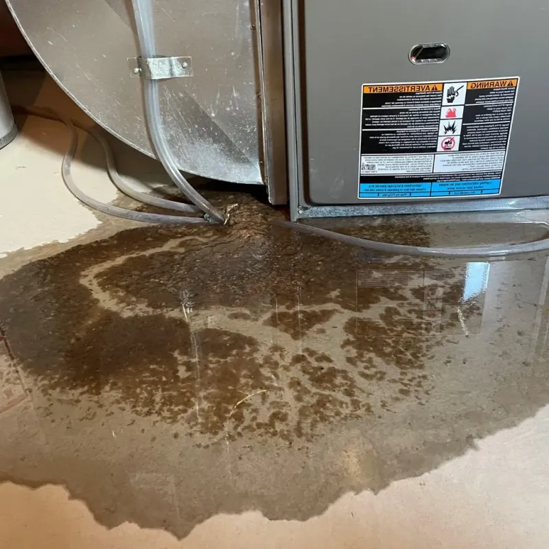Pipe Burst and Leak Restoration in Cumberland County, TN