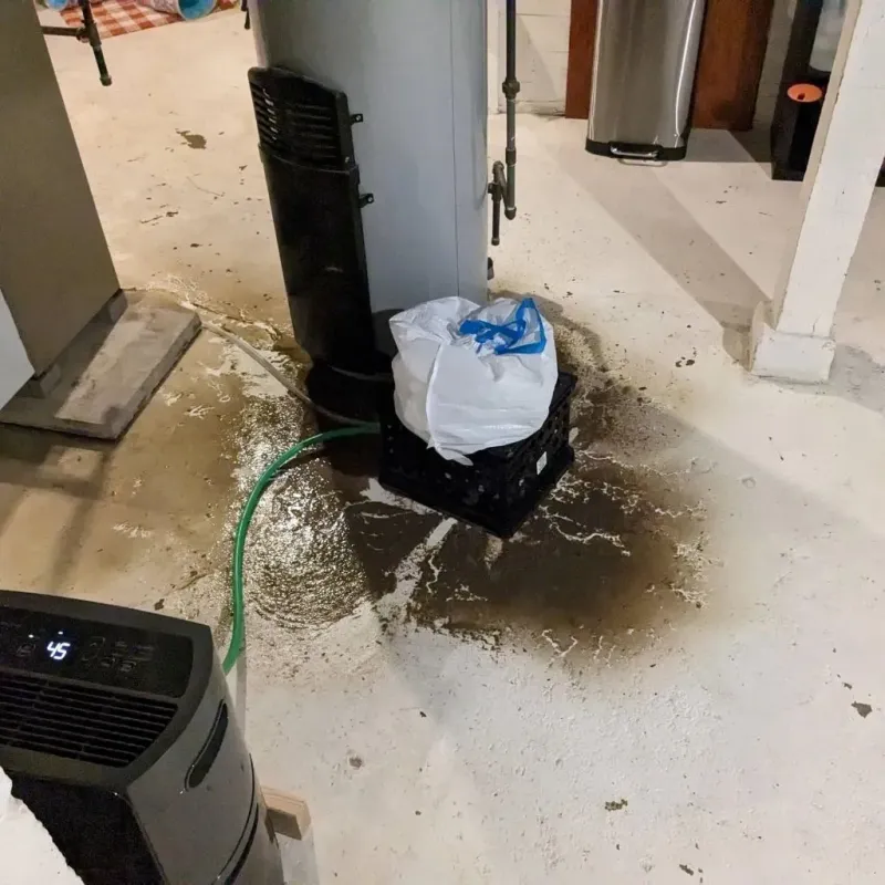 Sewage Backup Cleanup Service in Cumberland County, TN